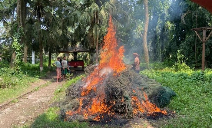 বেগবতী ও চিত্রা নদী থেকে চায়না দুয়ারি জব্দ ও পুড়িয়ে ধ্বংস